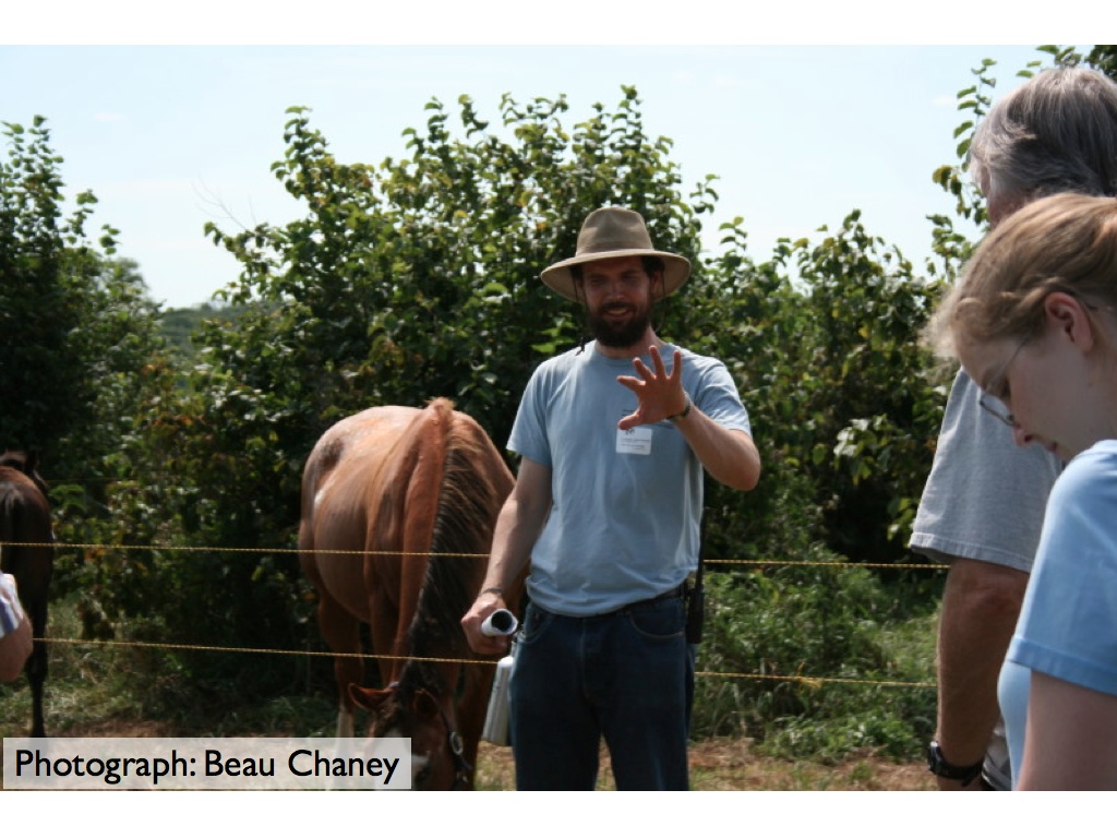 Dr. Brandon Rutter-Daywater discusses horses and hazels.